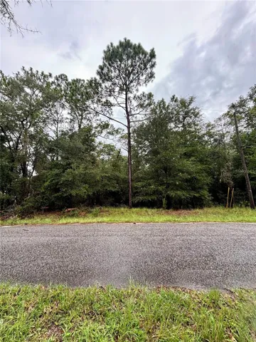 Lot Frontage 154 Ft