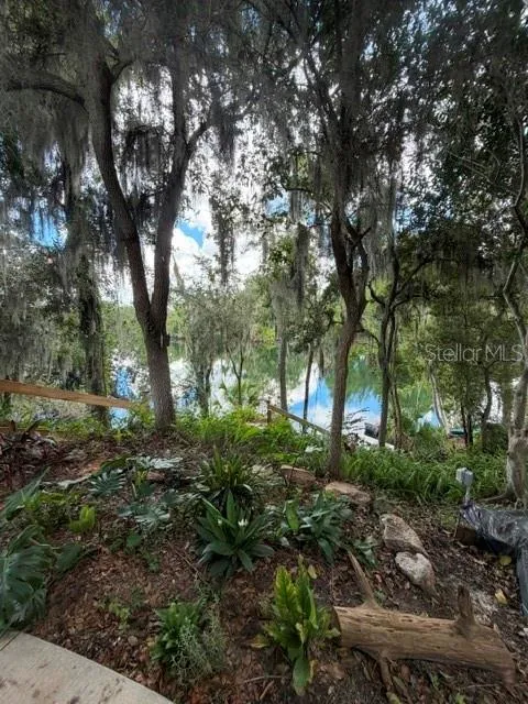 950 Lake Cove Trl, Lakeland, Florida 33813 — photo 48
