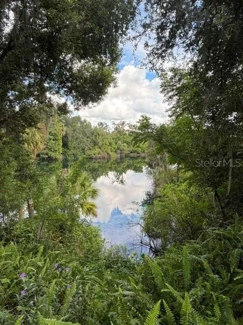 950 Lake Cove Trl, Lakeland, Florida 33813 — photo 55