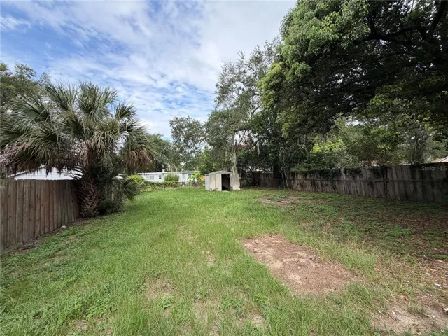 Large Backyard