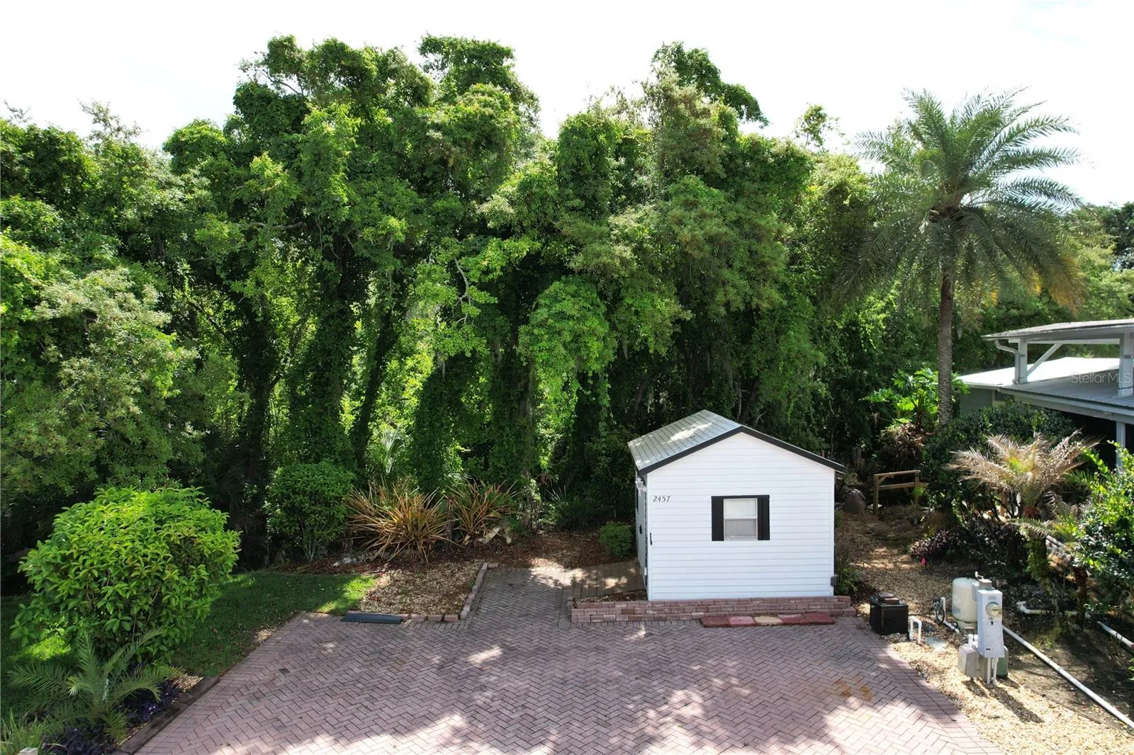 Wooded back yard!