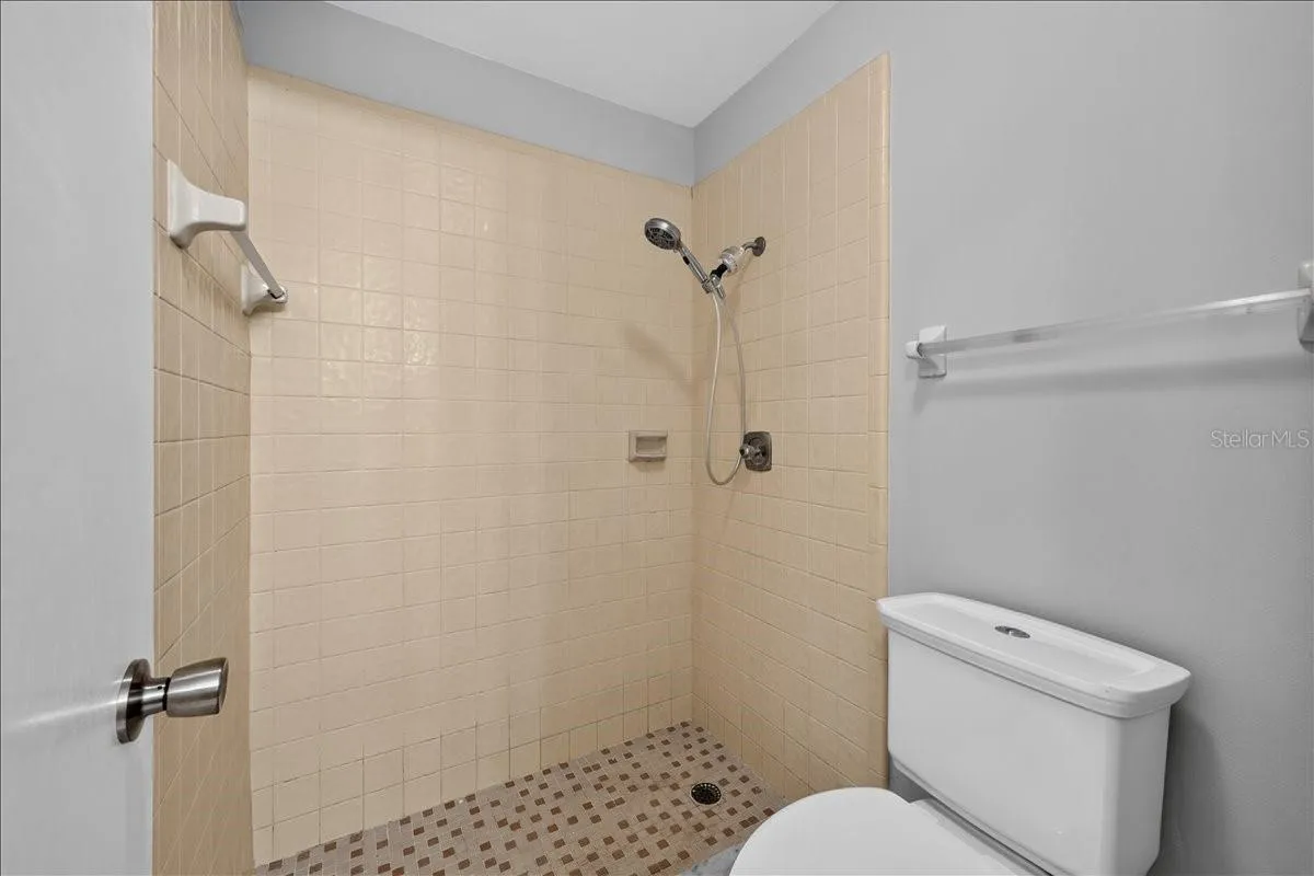 Primary bathroom shower and toilet