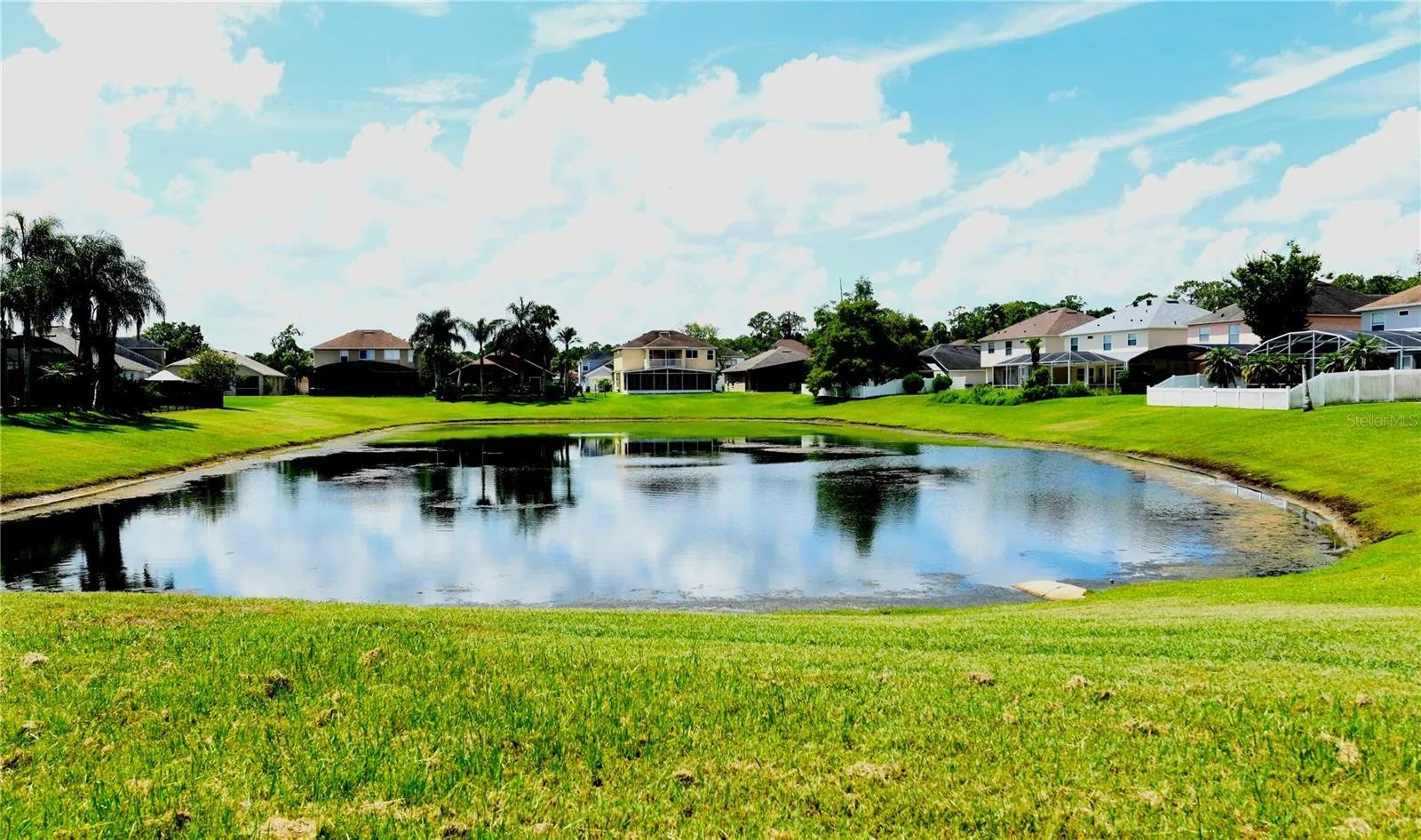 Pond View