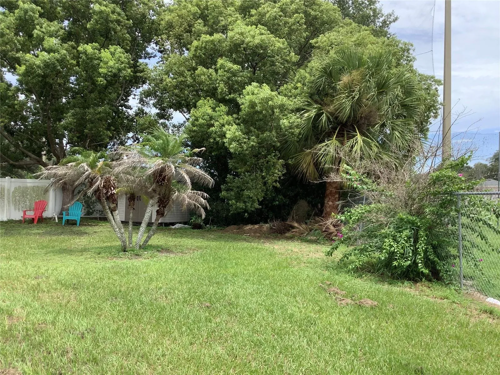 Backyard