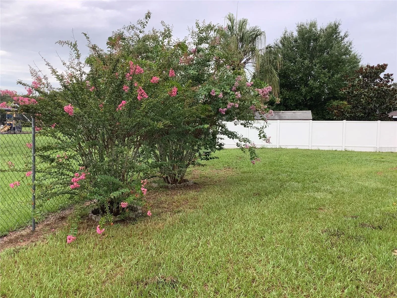 Backyard right side