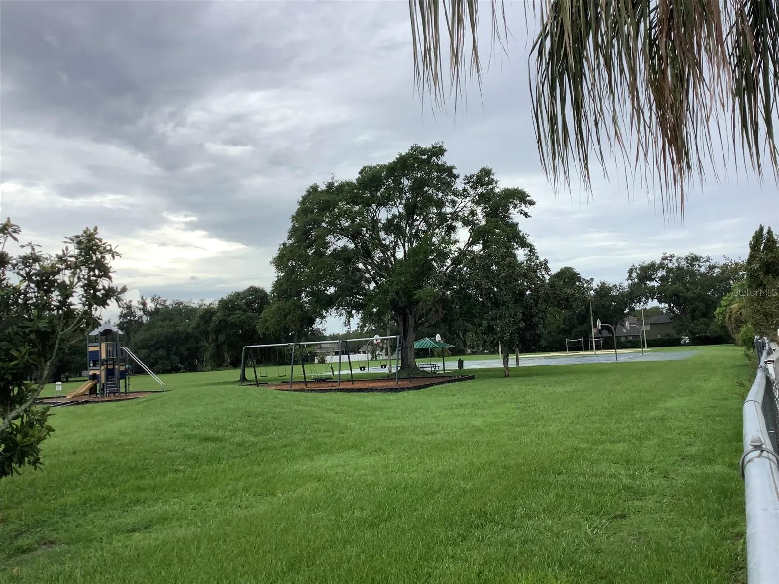 Scene from Backyard