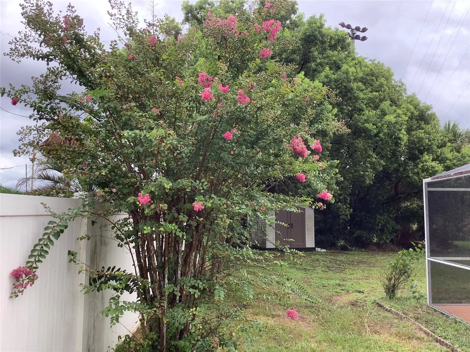 Backyard left side