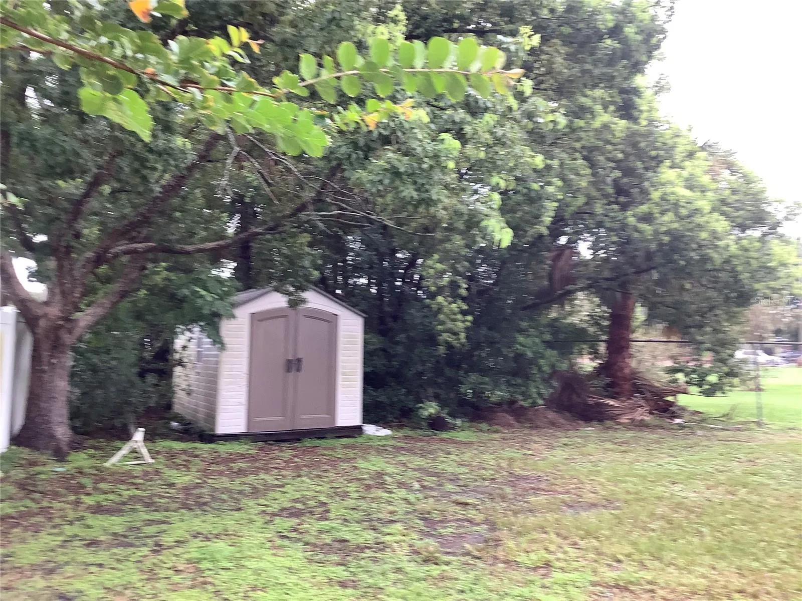 Large Shed