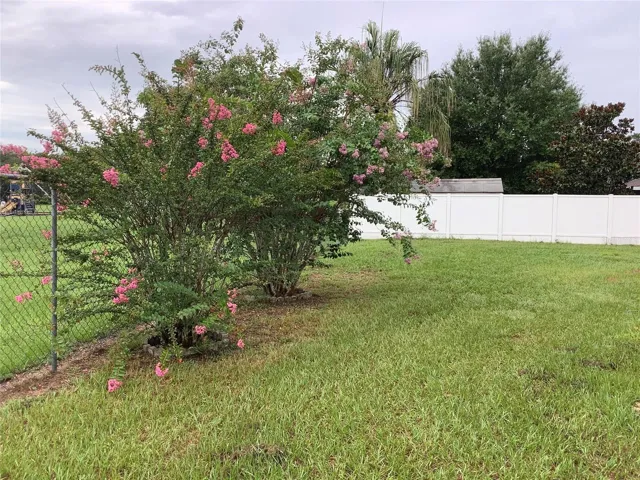 Backyard right side
