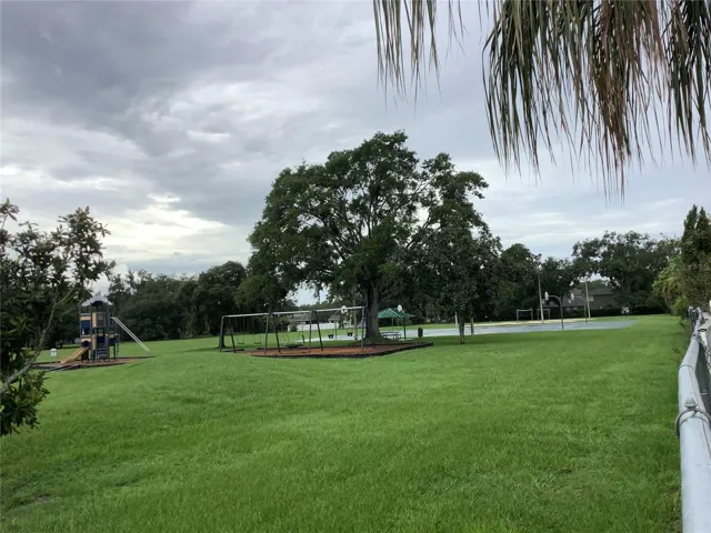 Scene from Backyard