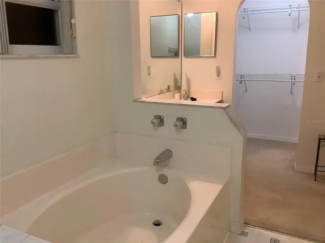 Garden tub and a Bathroom window