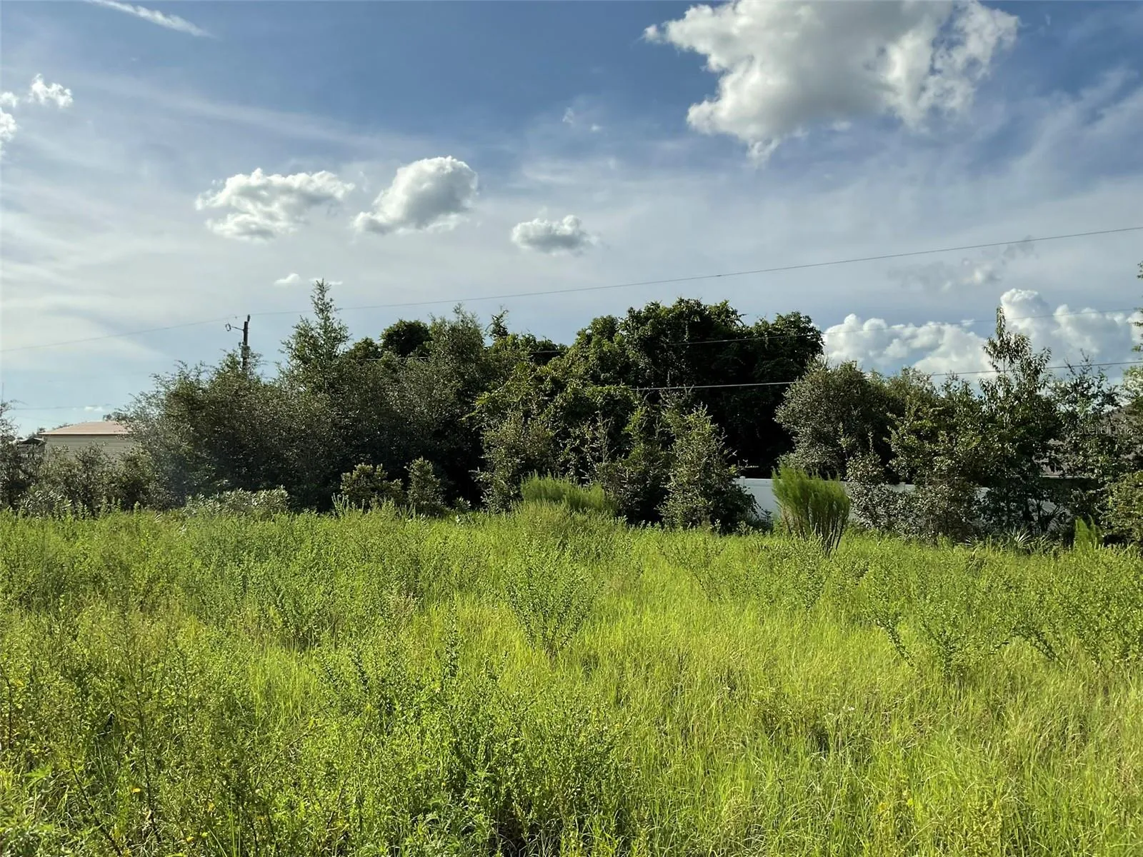 Rear View - Property starts at Tree Line