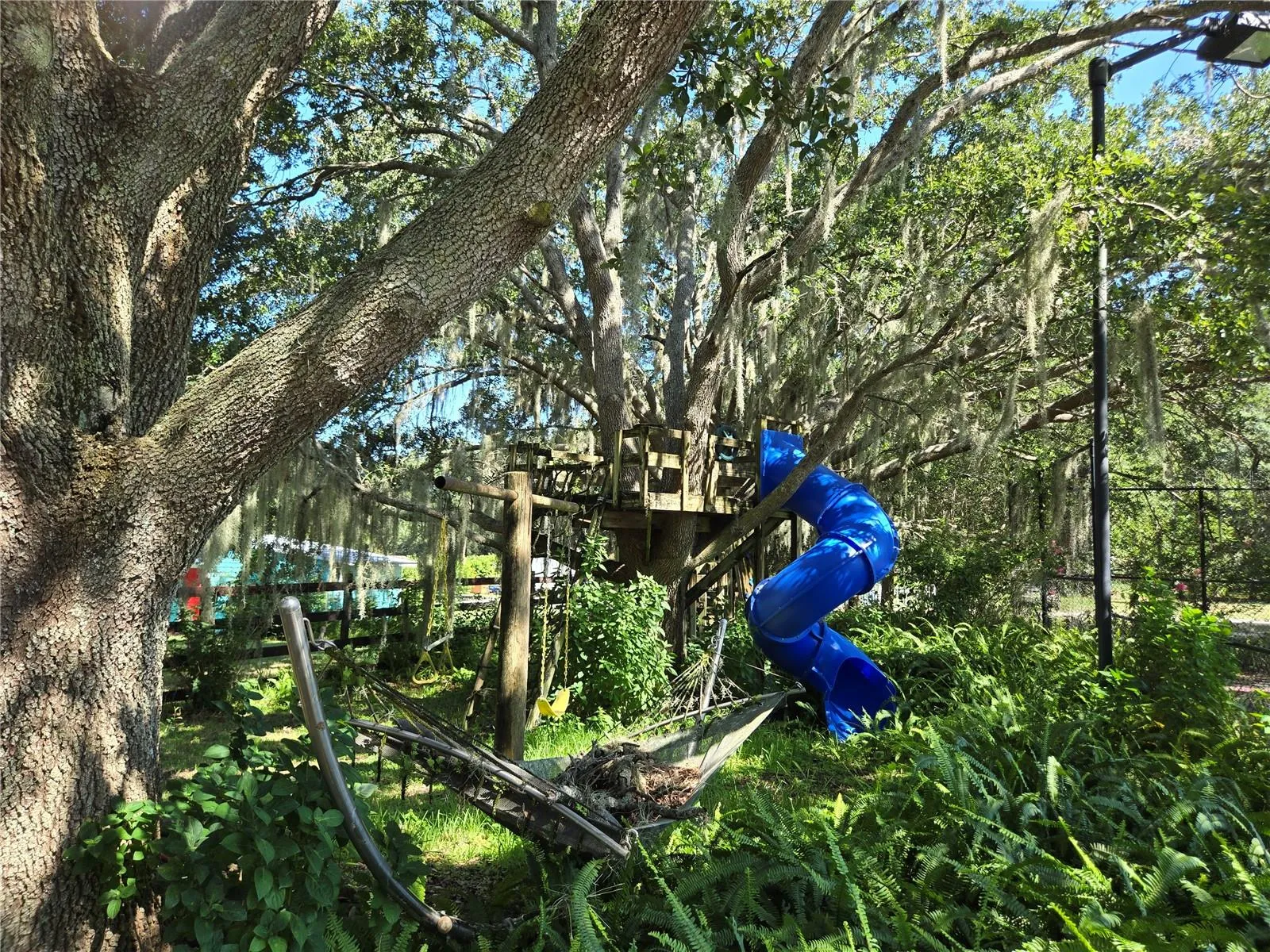 Play area in the trees