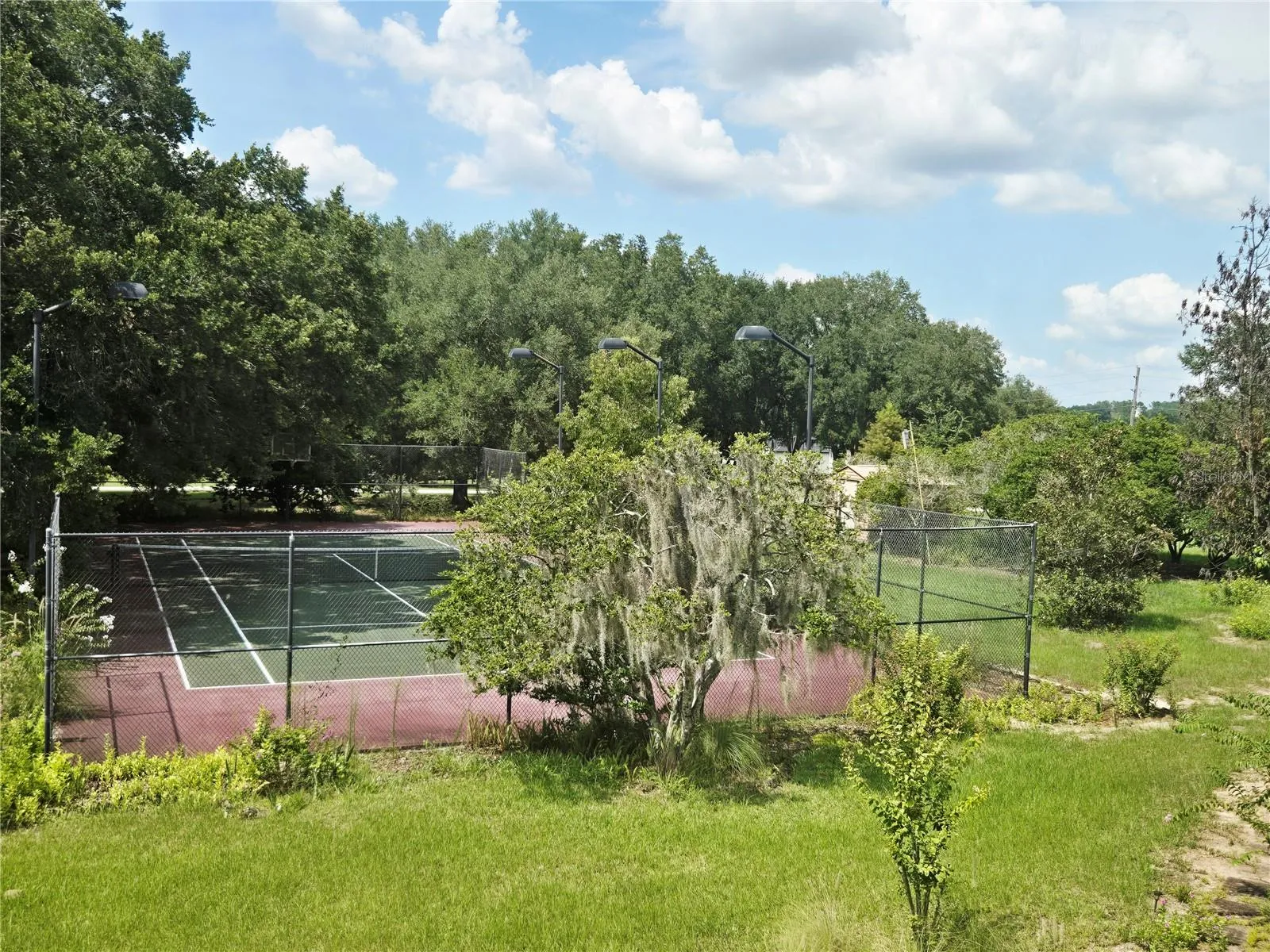 View from Sunroom