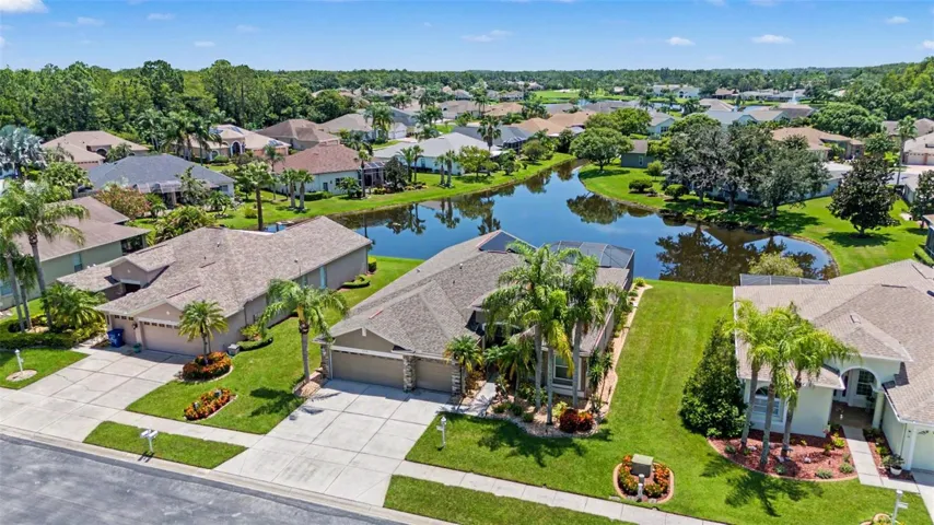 Fantastic pond view