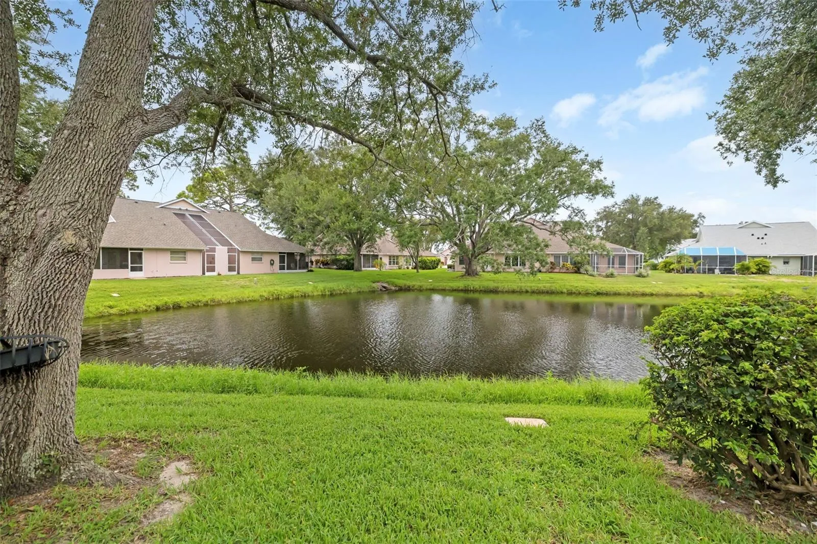 Lake view
