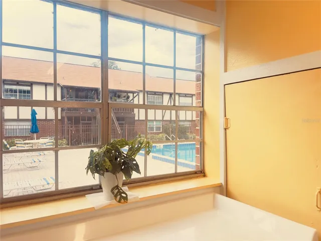 Pool 2 view