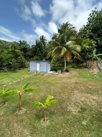 Patio • Backyard