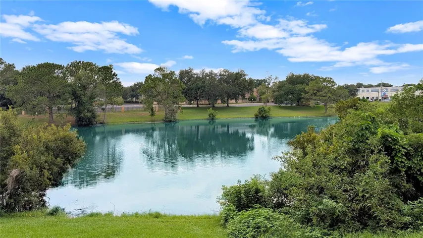 This is the lake Your Unit Overlooks! Yes!