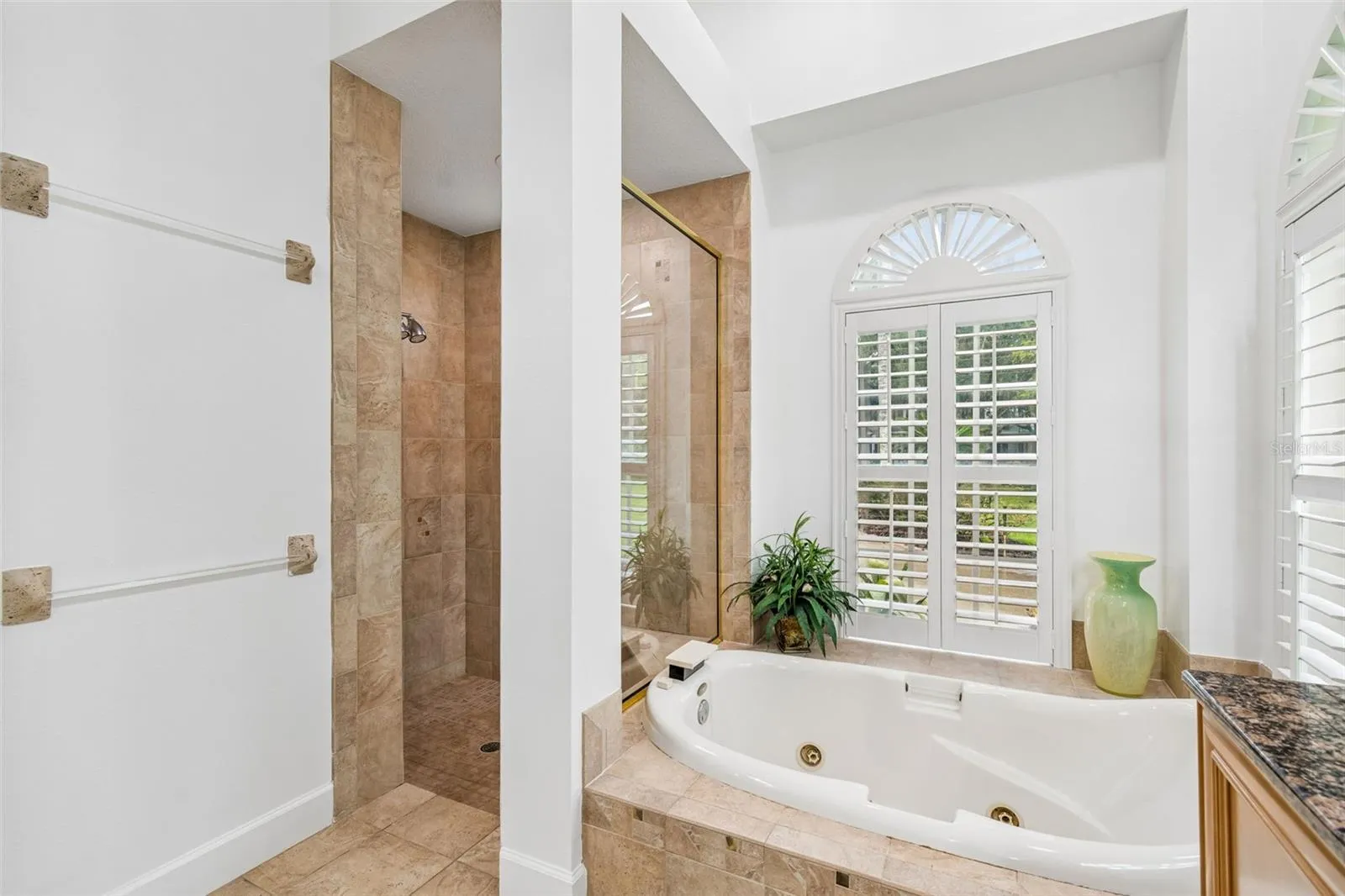 Jacuzzi Tub &amp; Step In Shower