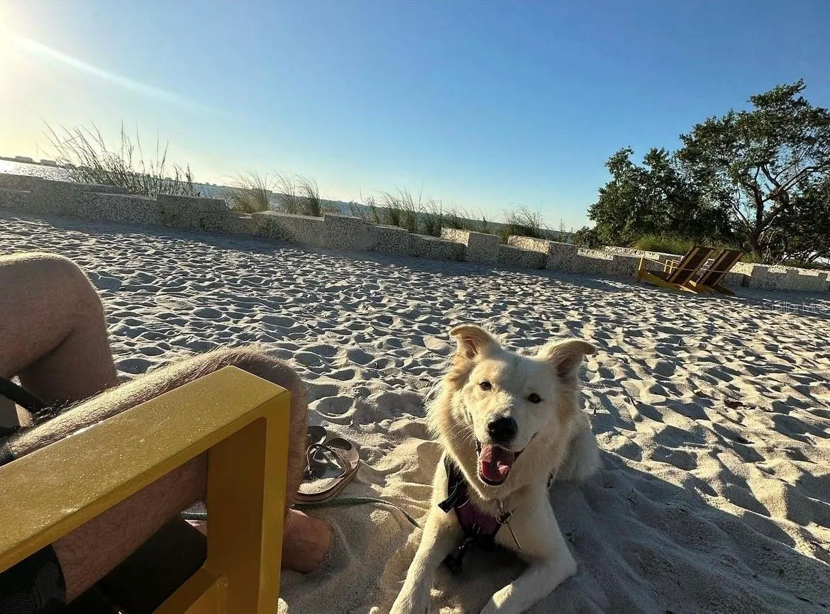 THE BEACH AT THE BAY PARK NEXT DOOR