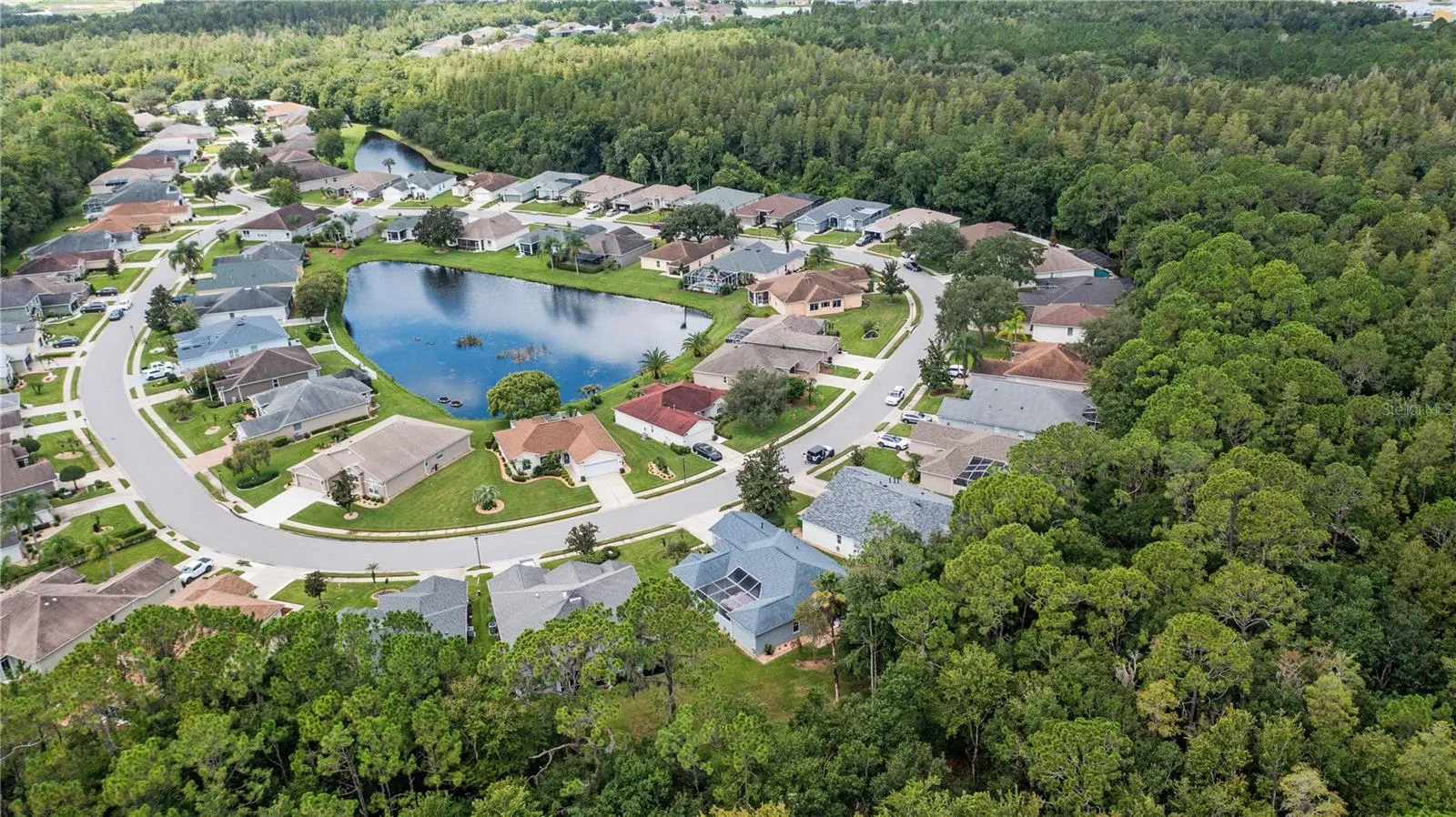 3007 Bellflower Way, Lakeland, Florida 33811 — photo 37
