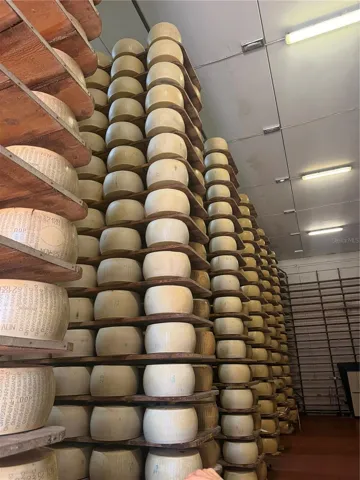 1170