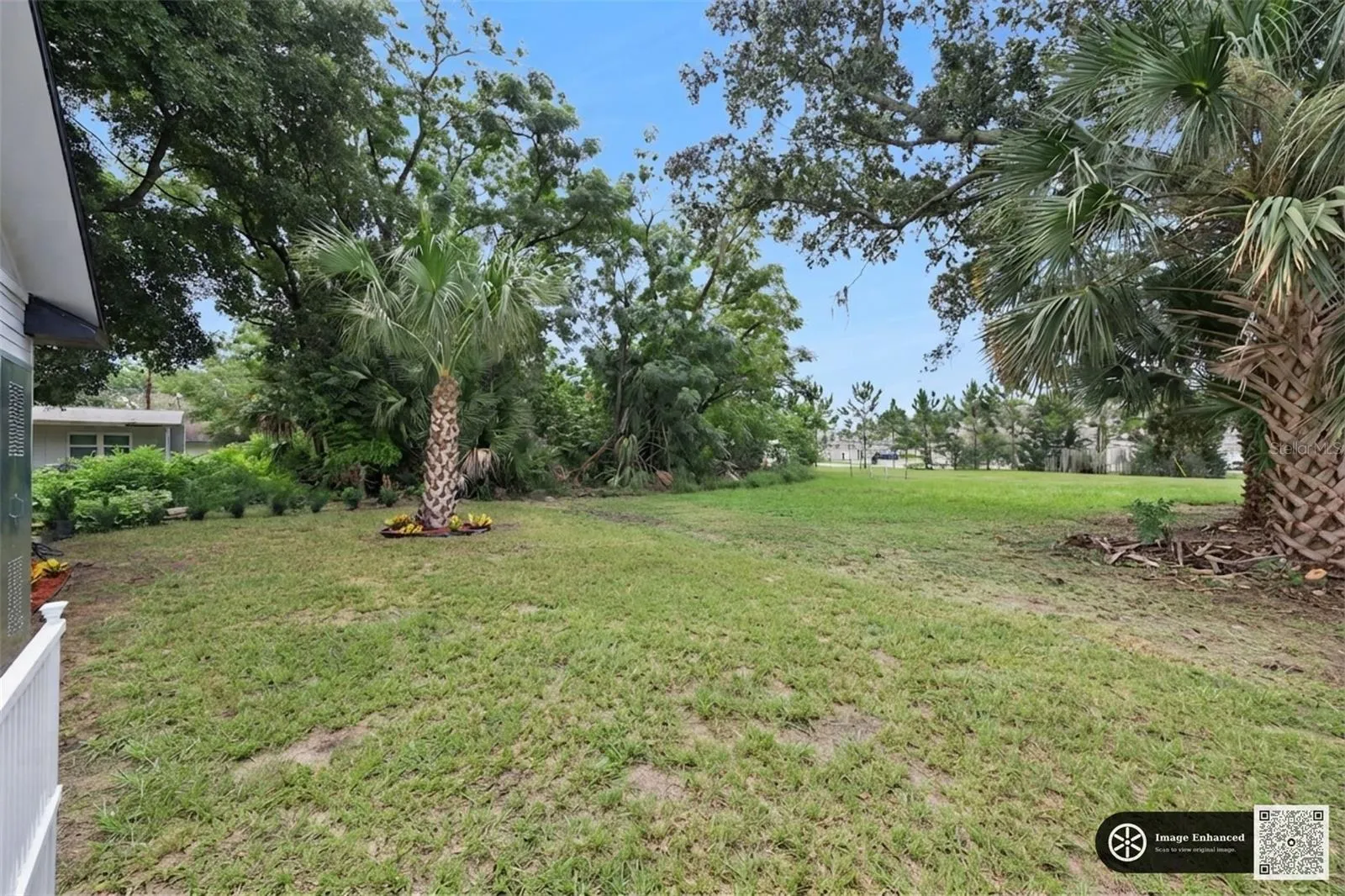 Back yard