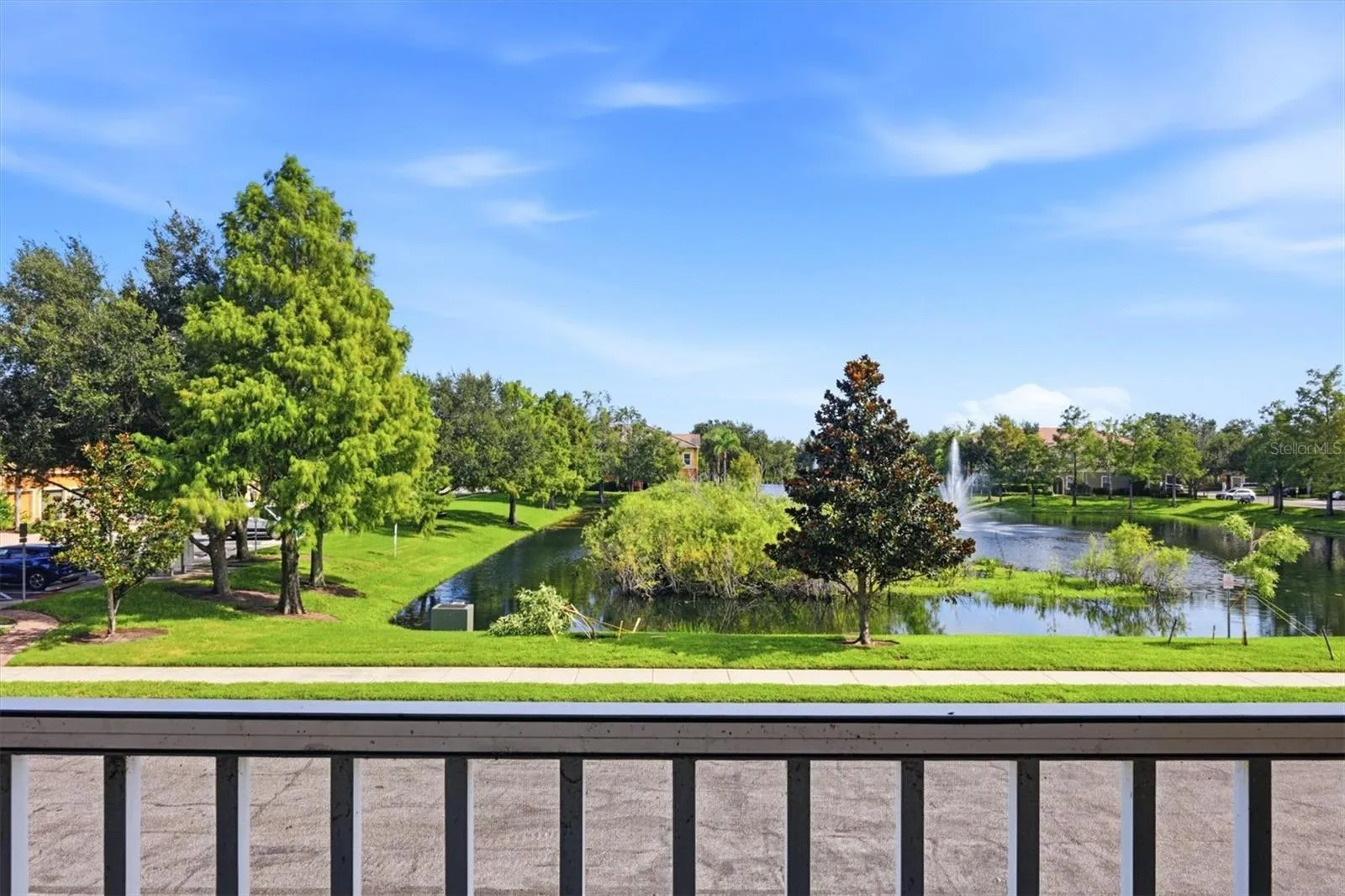 Pond Views