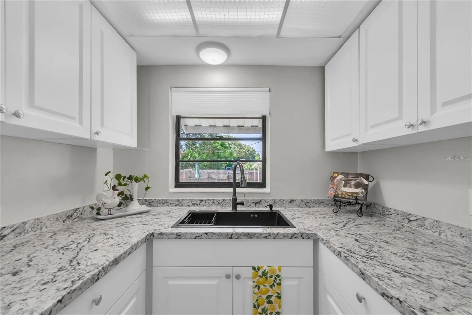 New countertops, sink &amp; faucet