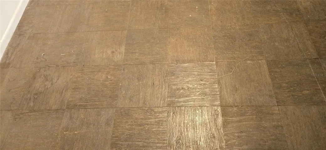 Flooring throughout the house