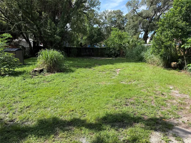 Backyard