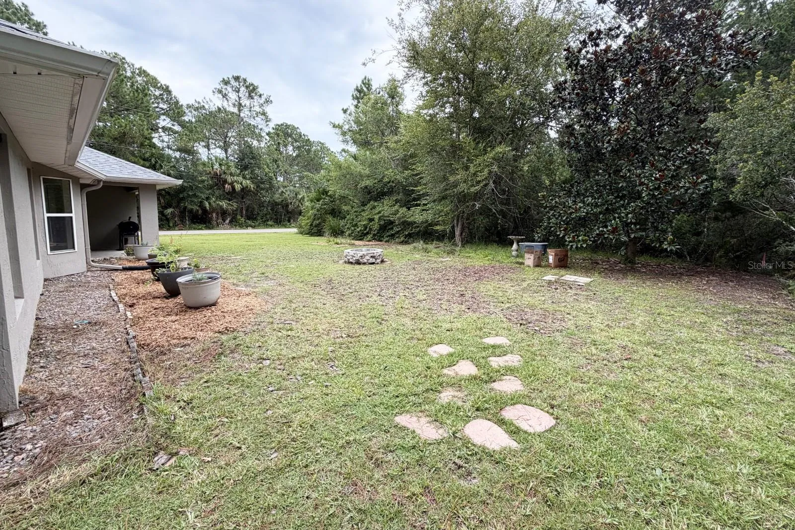 Backyard 3