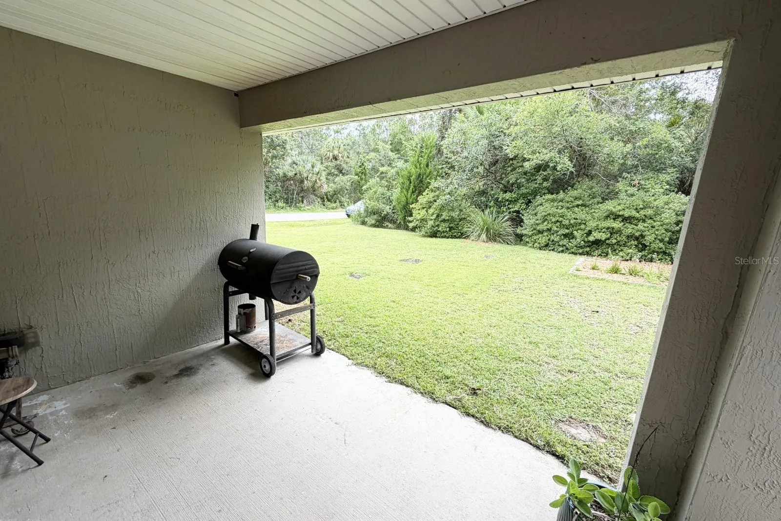 Backyard 4