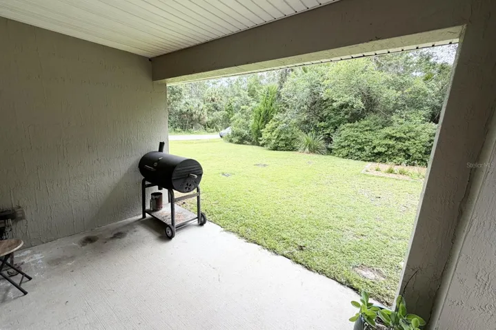 Backyard 4