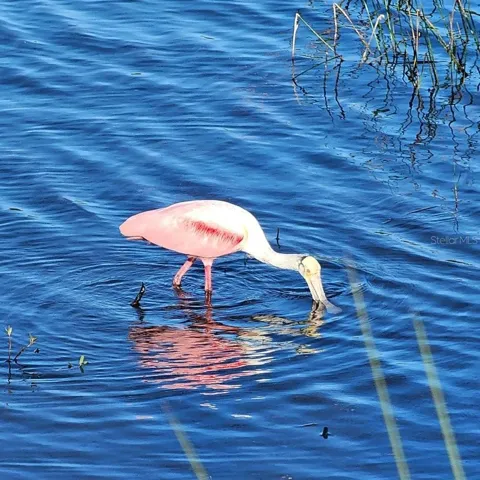 1170