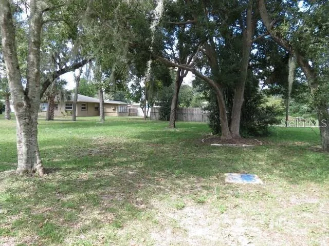 Large Backyard