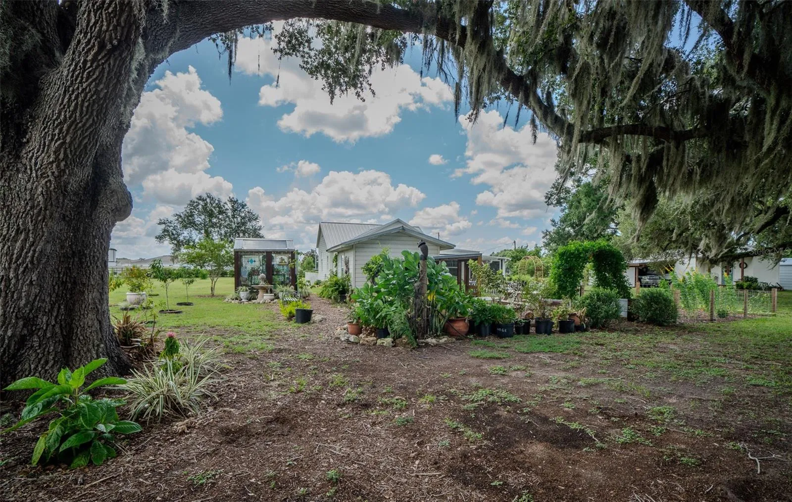Garden area