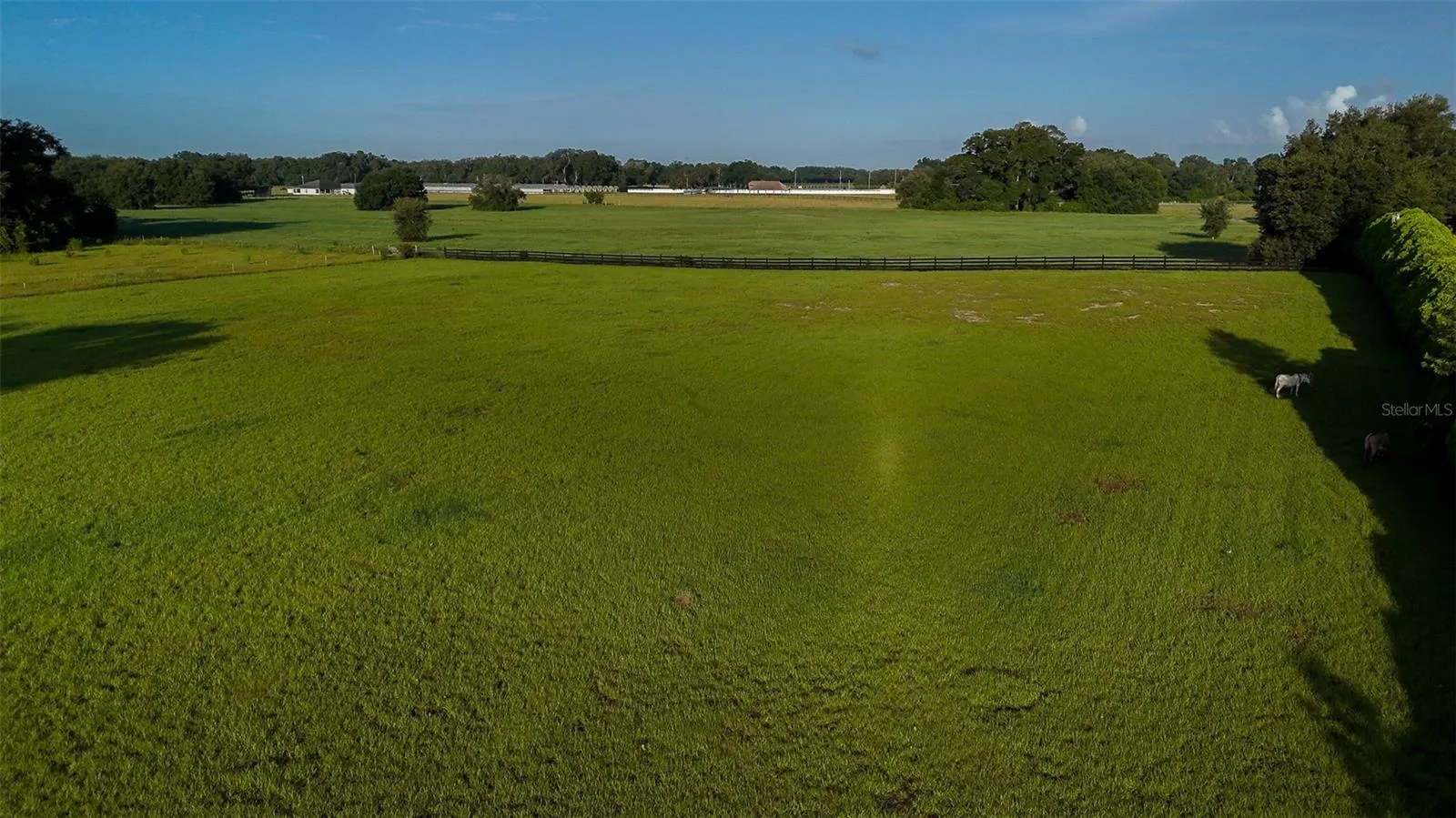 Pasture looking West