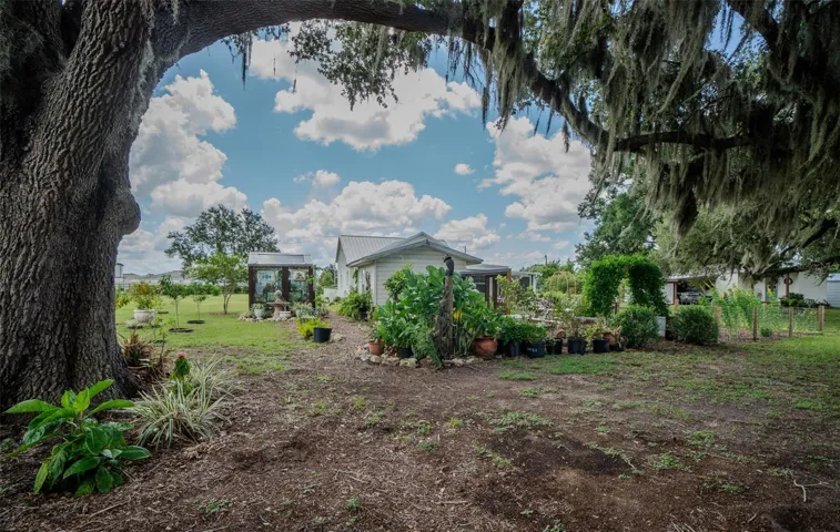 Garden area