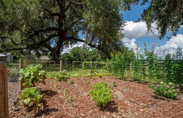 Rear garden