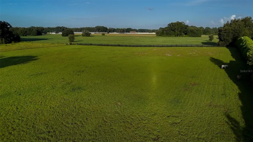 Pasture looking West