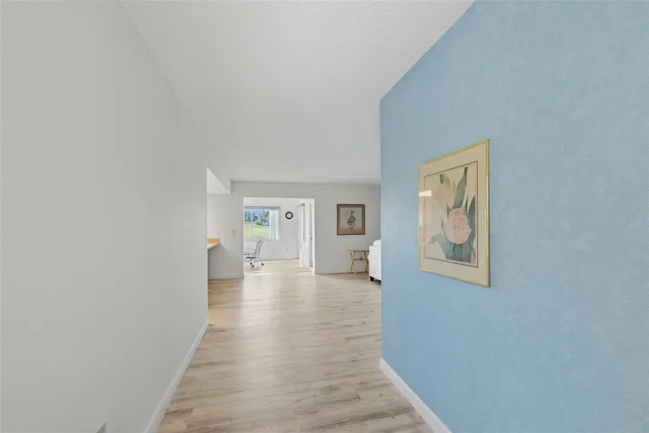 Walking from the front door into the Living Room