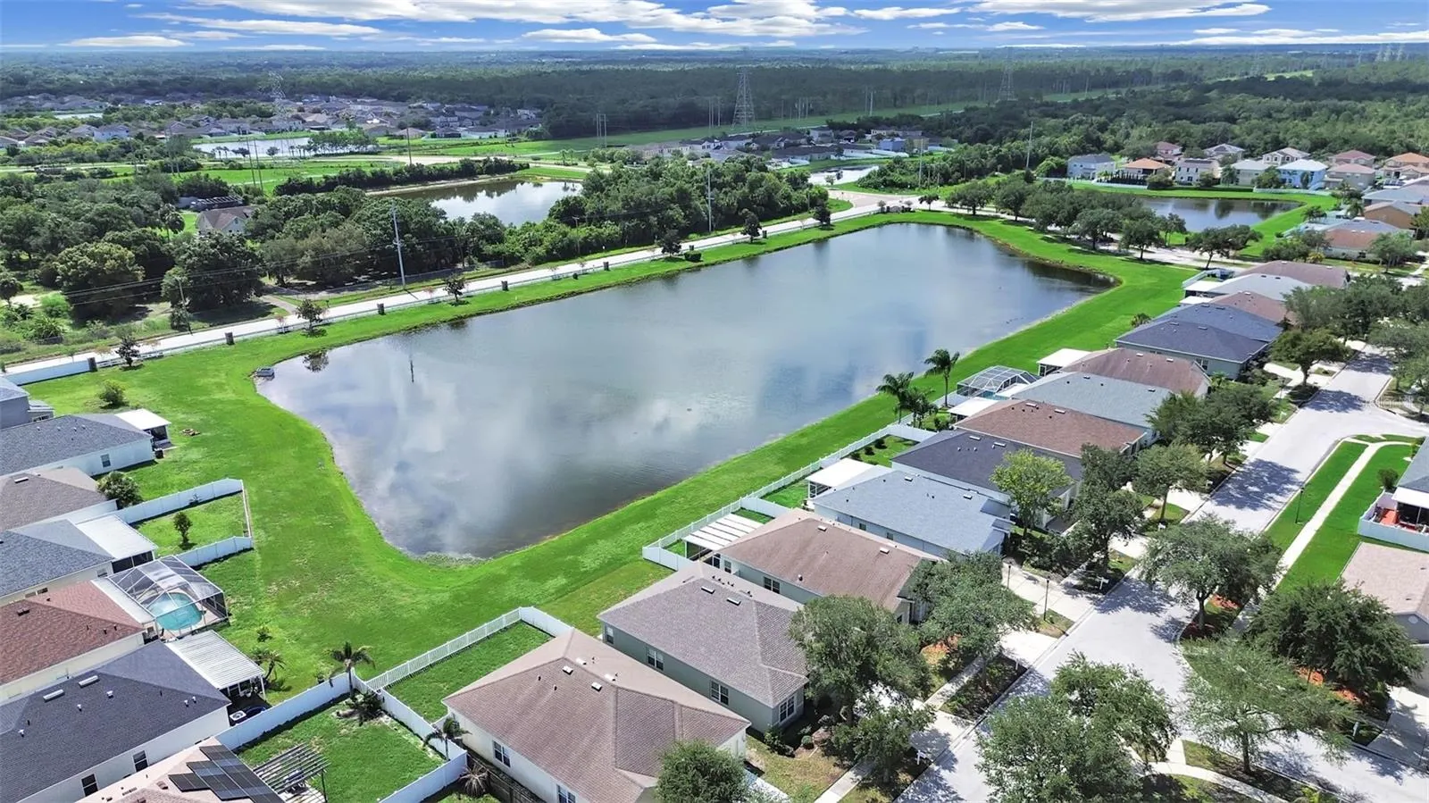 Pond view