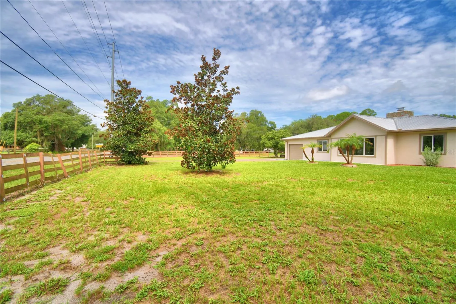 Front Yard