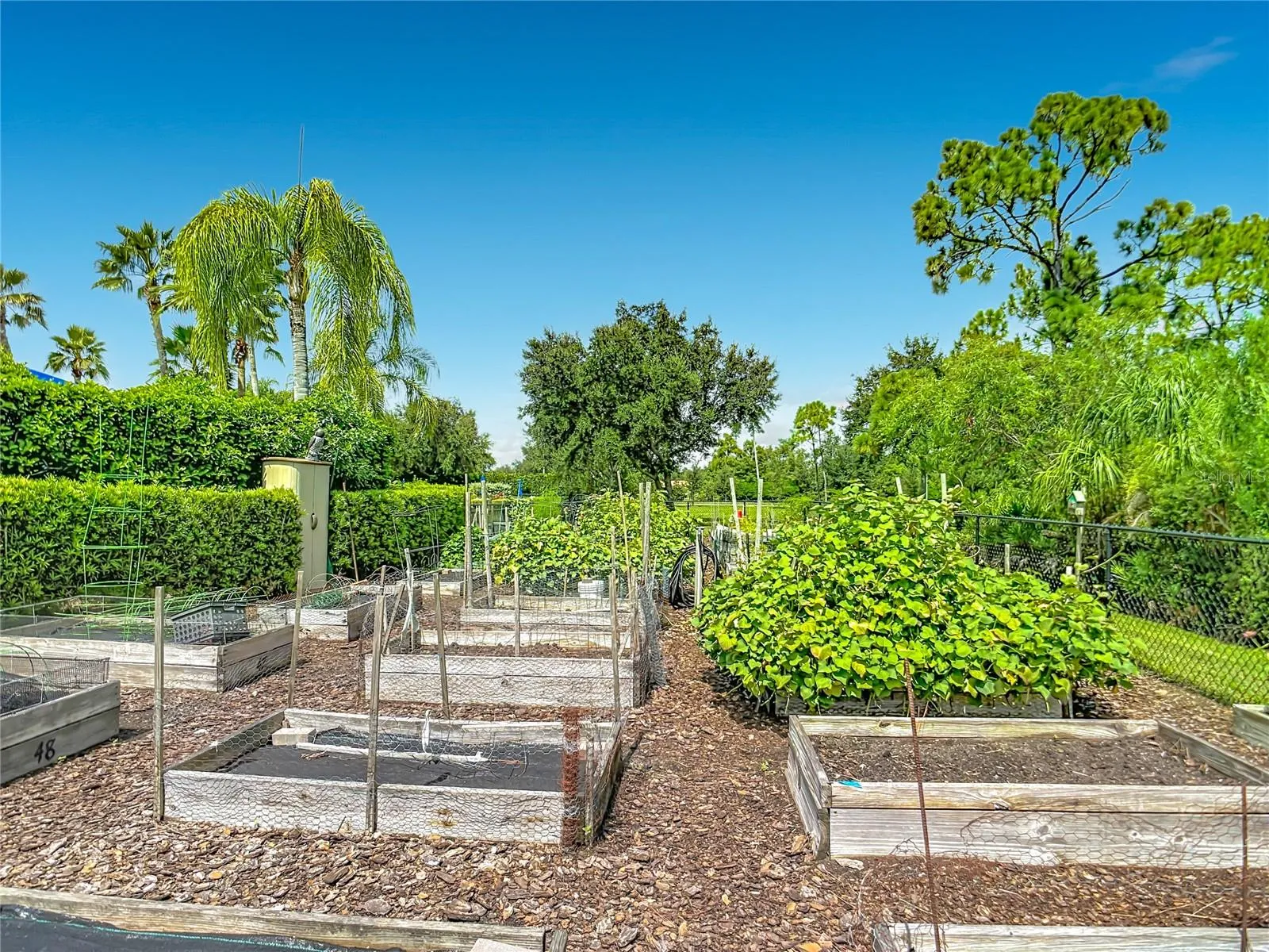 Community Garden