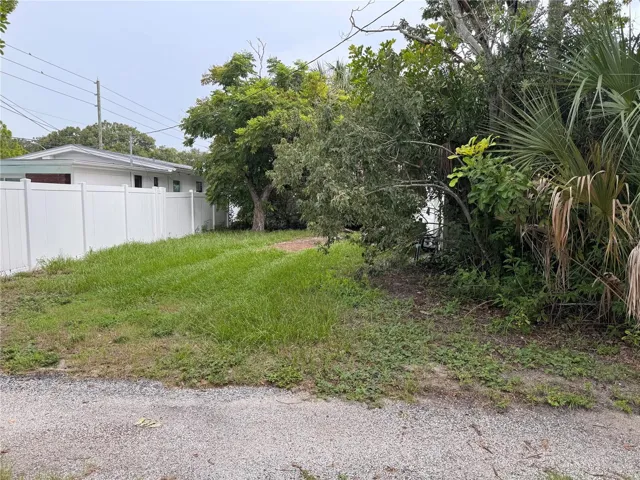 Backyard view from Alley