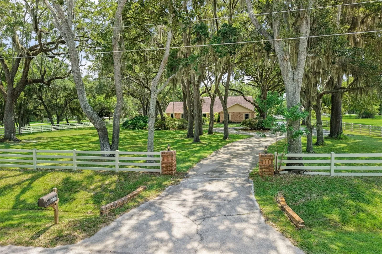 Oak Tree Lined Drive