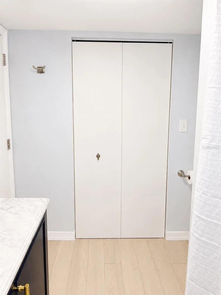 Primary bathroom storage