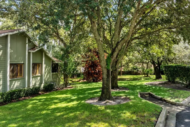 Side yard - perfect!